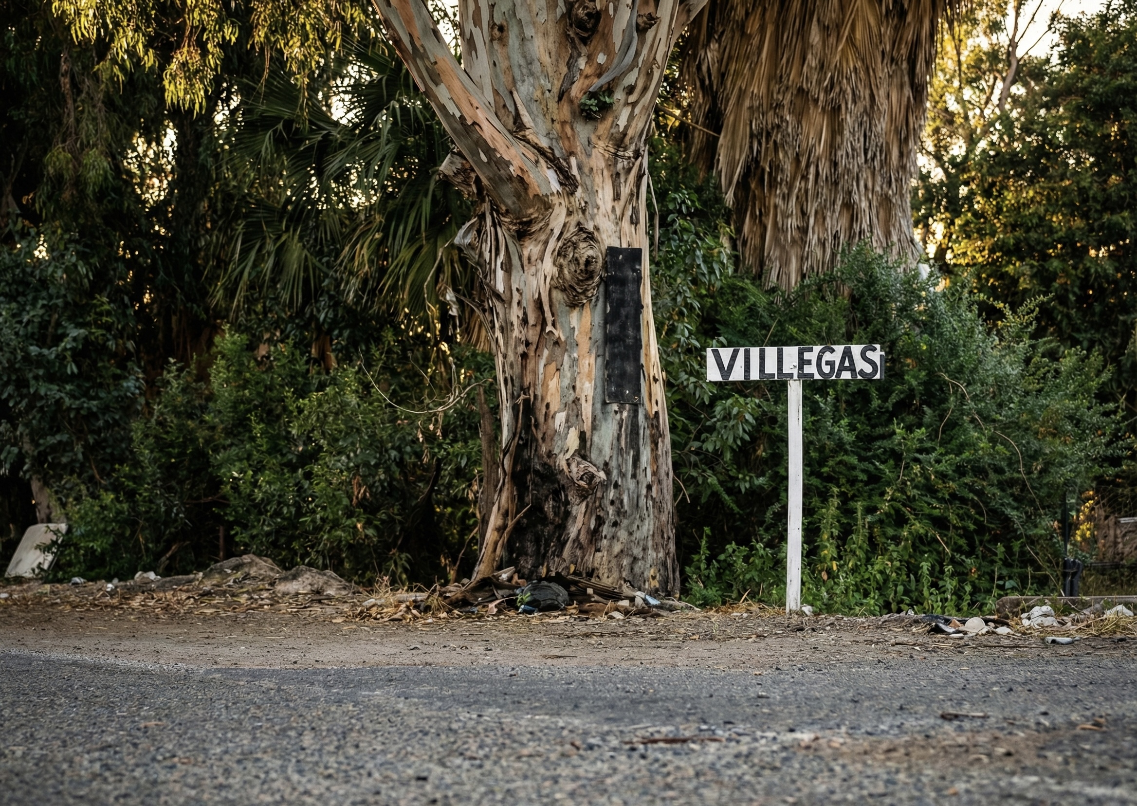 San Martín: Conductor alcoholizado se salvó de milagro tras caer a una acequia e incendiarse su vehículo