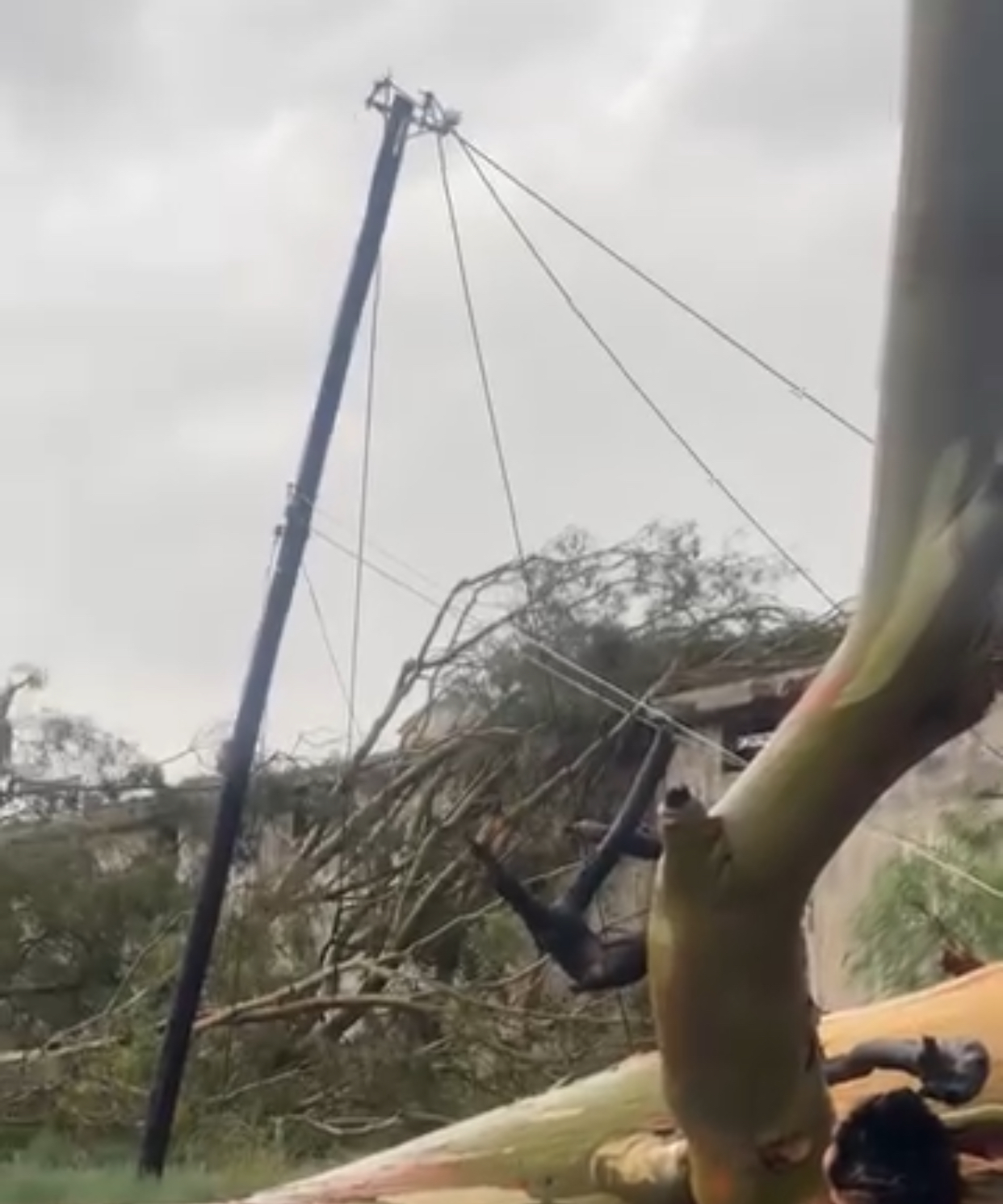 San Martín: temporal provocó la caída de un poste sobre un motociclista en Ruta 50